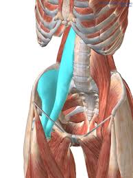 psoas pubic sticking